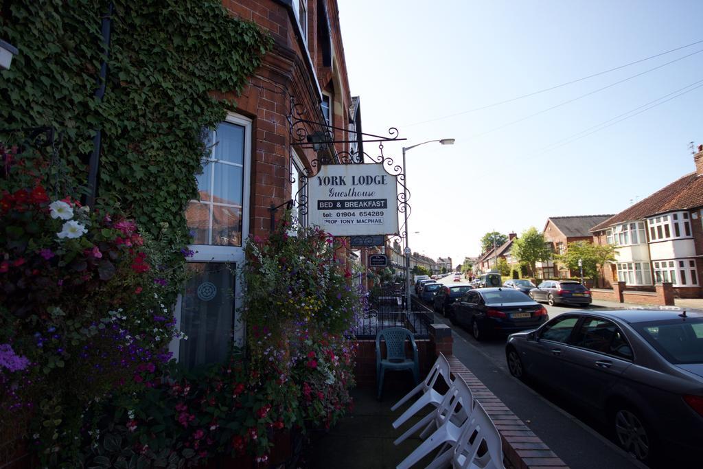 York Lodge Guesthouse 外观 照片